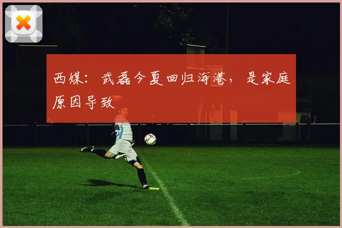 西媒：武磊今夏回归海港，是家庭原因导致